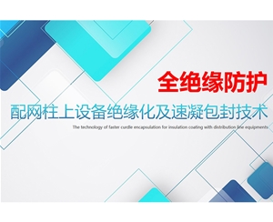 配網柱上設備全絕緣化（河北矽谷）